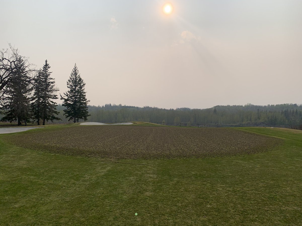 Ashley Davidovich tweet media