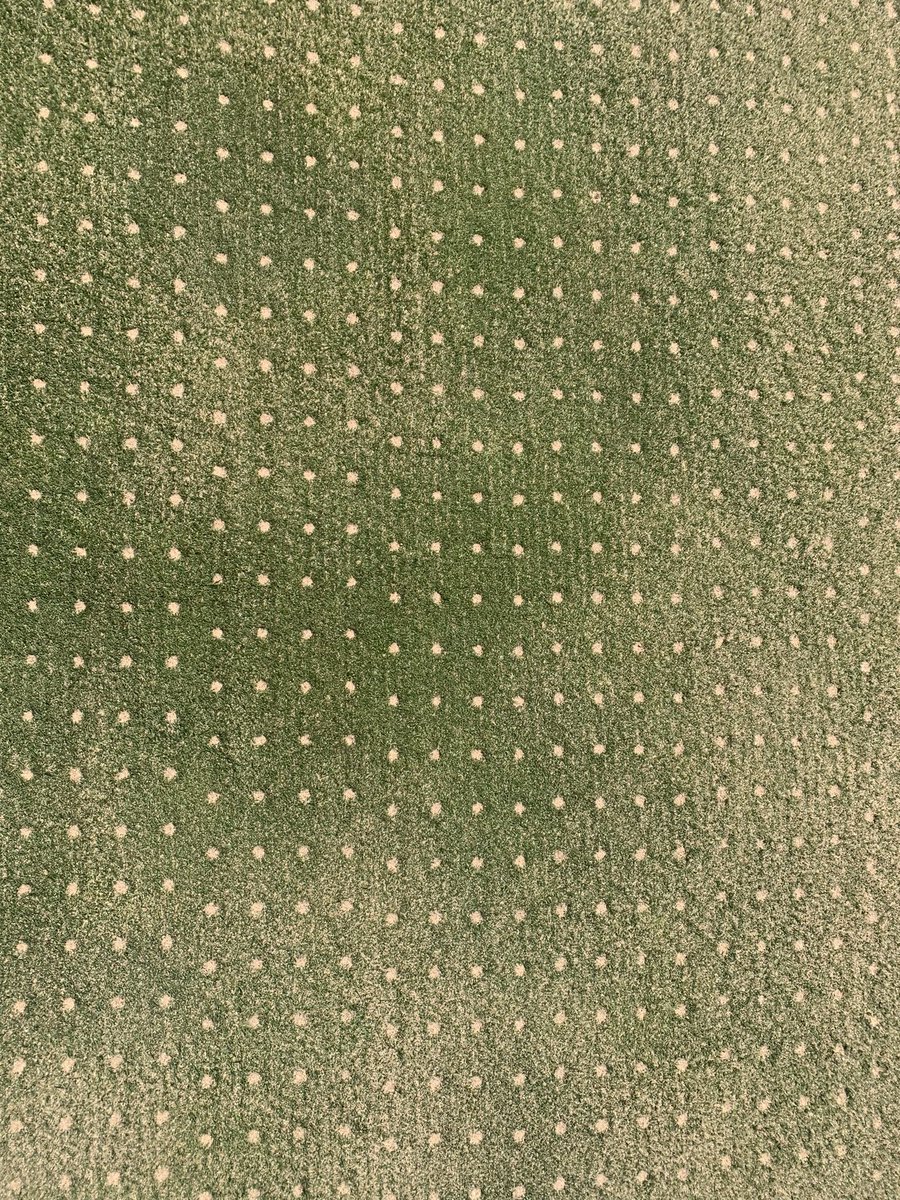 Ashley Davidovich tweet media