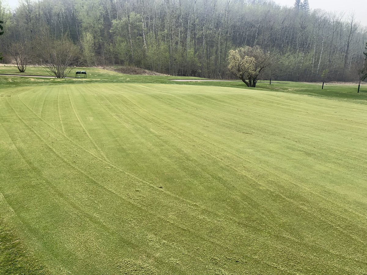 Ashley Davidovich tweet media