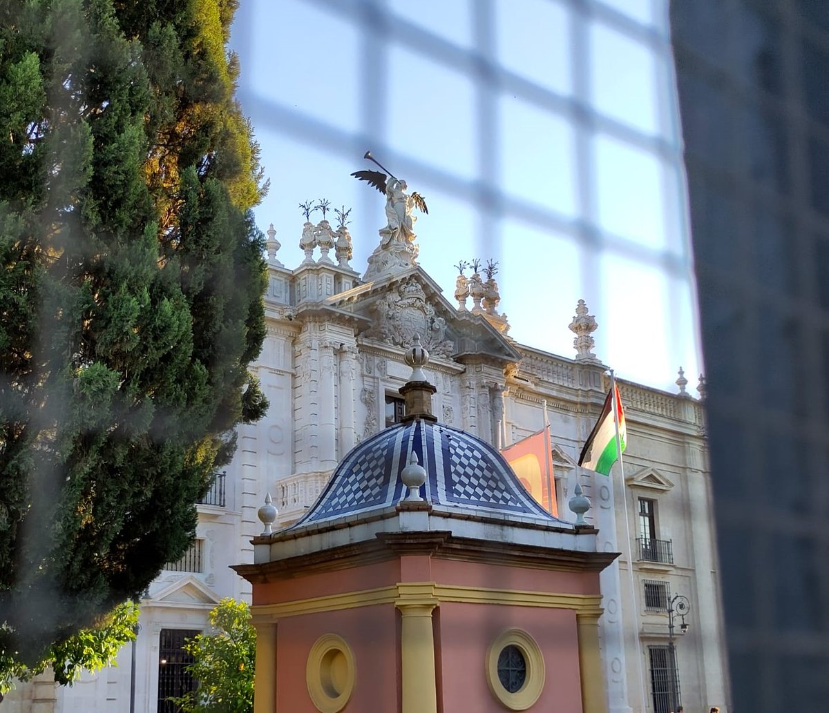 La bandera de Palestina ondea en la Universidad de Sevilla ¡Todo el apoyo a la Acampada por Palestina de @estuPalestinUS ! #BoicotIsrael #StopGazaGenocide