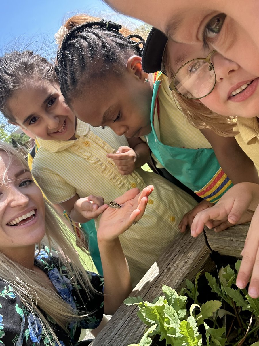 EastfieldPSHull's tweet image. FWK enjoyed setting our class butterflies free this afternoon. It’s been so exciting learning all about the life cycle of butterflies and observing metamorphosis take place in our own classroom! #epsFWK
