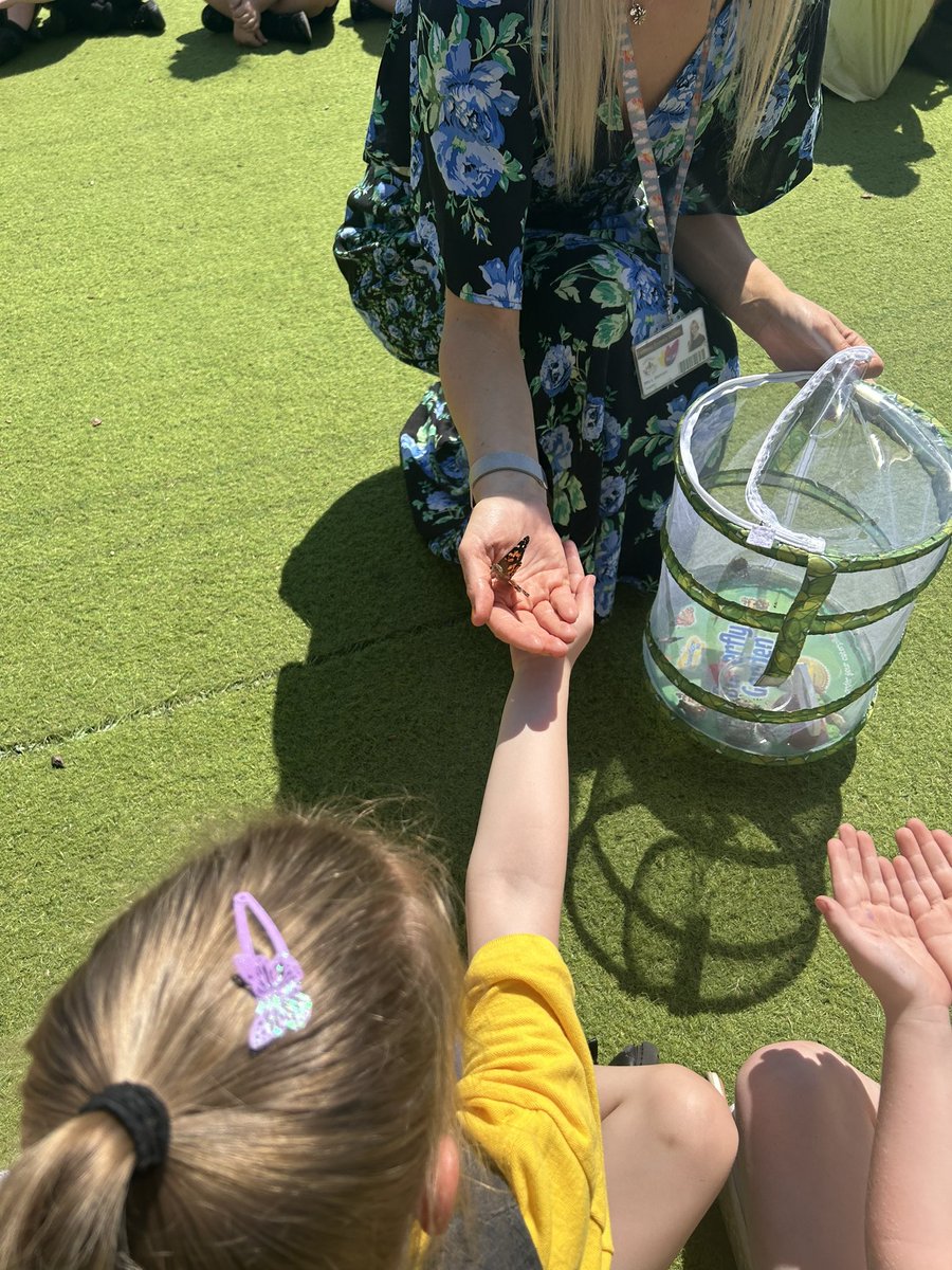 EastfieldPSHull's tweet image. FWK enjoyed setting our class butterflies free this afternoon. It’s been so exciting learning all about the life cycle of butterflies and observing metamorphosis take place in our own classroom! #epsFWK