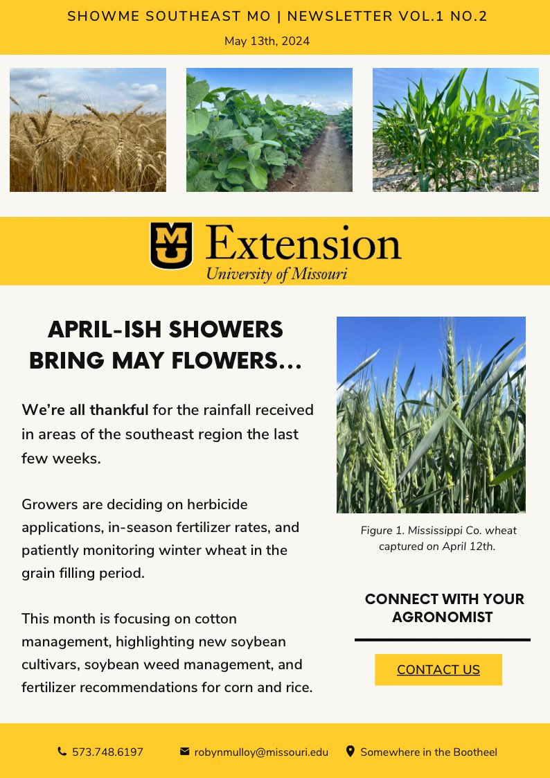 RobynMulloy's tweet photo. Here’s a good read if anyone is interested in things happening in the Bootheel.

https://t.co/MnBSuwVPTH https://t.co/eLrGwDy6Br