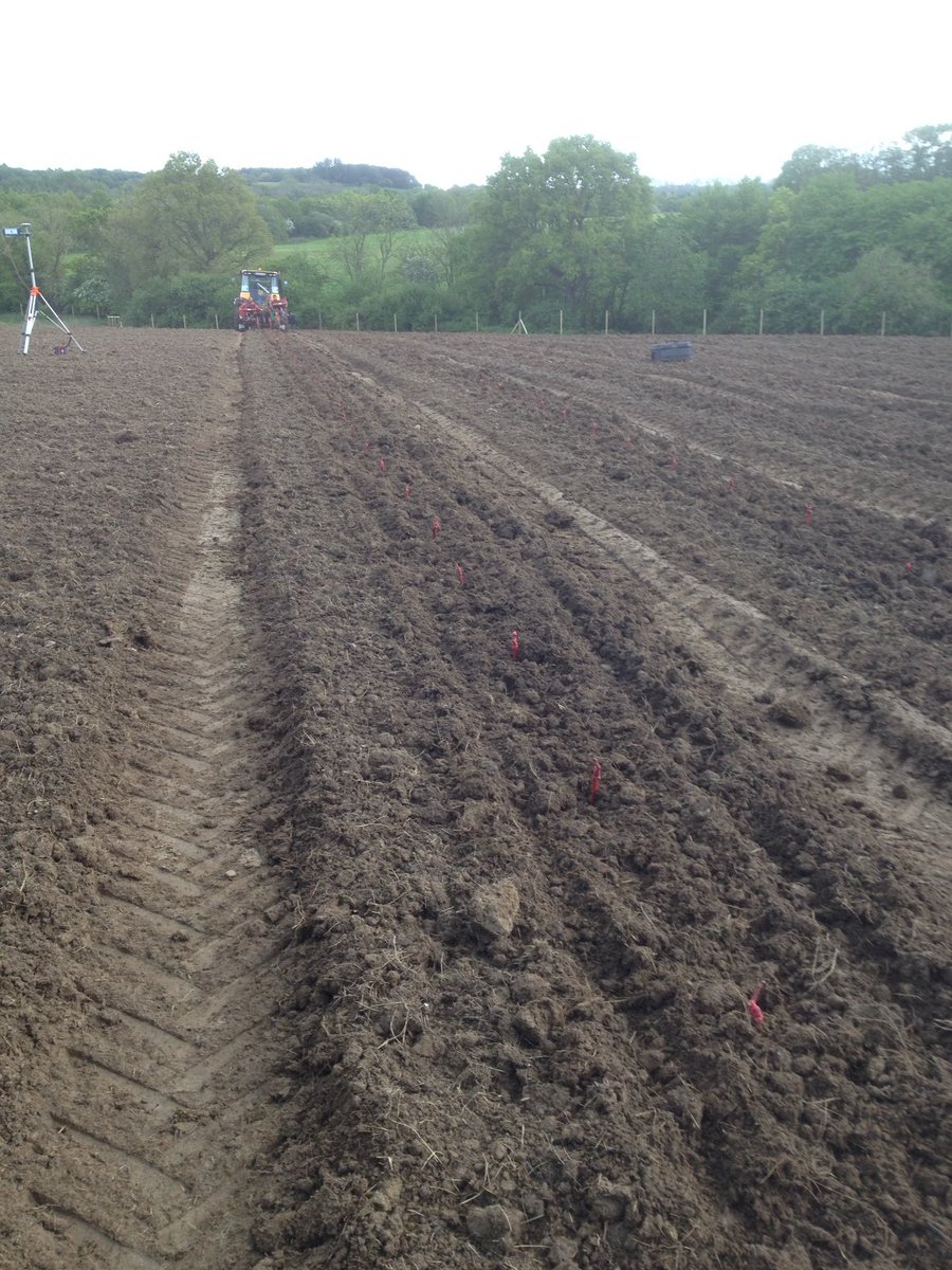 OffTheLine tweet media