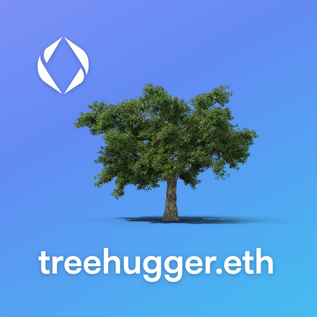 #treehugger #ens 

vision.io/name/treehugger