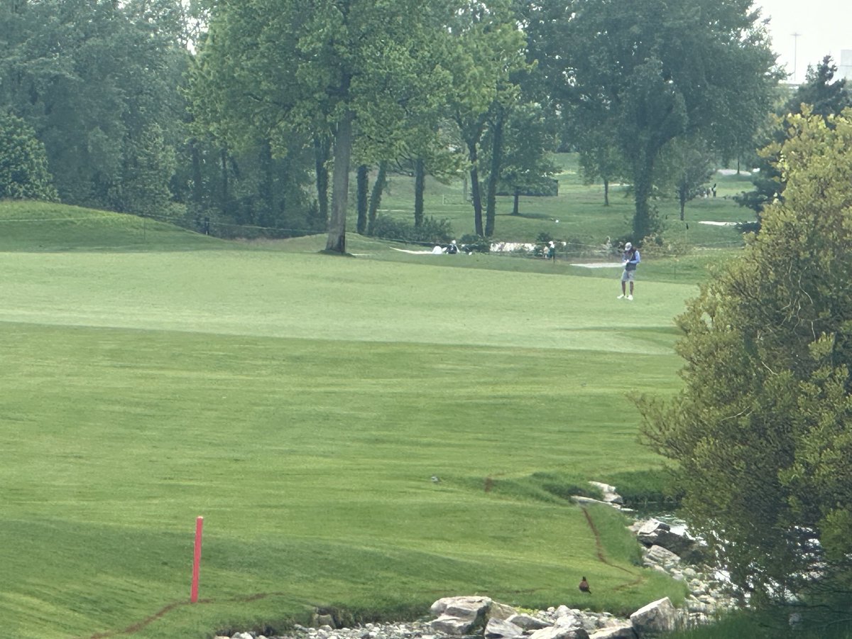 Monday Q lyfe. Playoff starting and there is a caddie in the fairway.