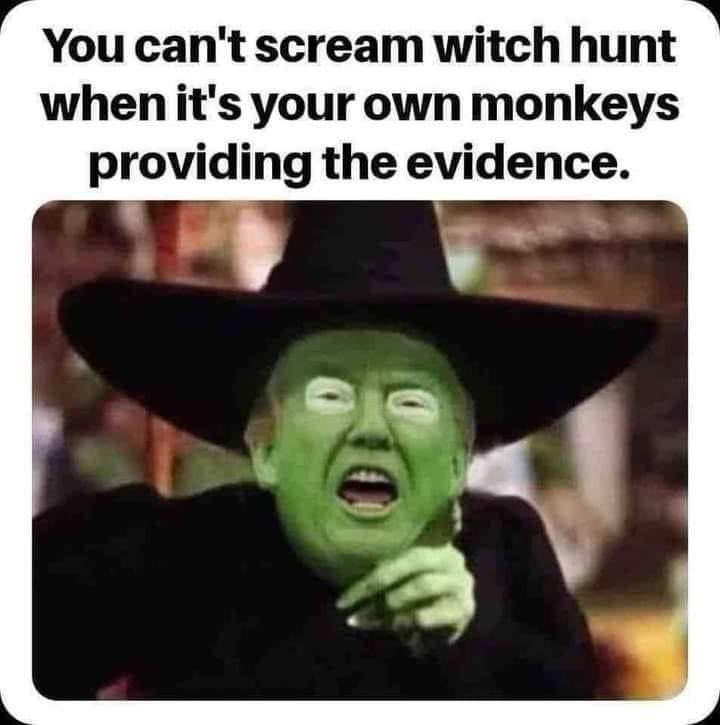 #ProudBlue I wish I had $1.00 for every time he has screamed “witch hunt”. But look how many times his own people have provided evidence. It’s not Joe Biden, it’s not Democrats. Open your eyes. Read and research (from reputable sources). There is no witch hunt‼️