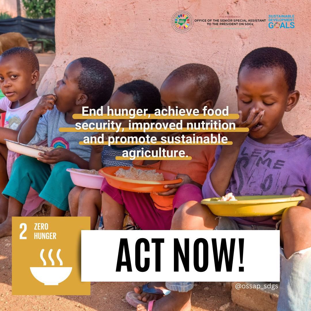 OSSAP-SDGs tweet media