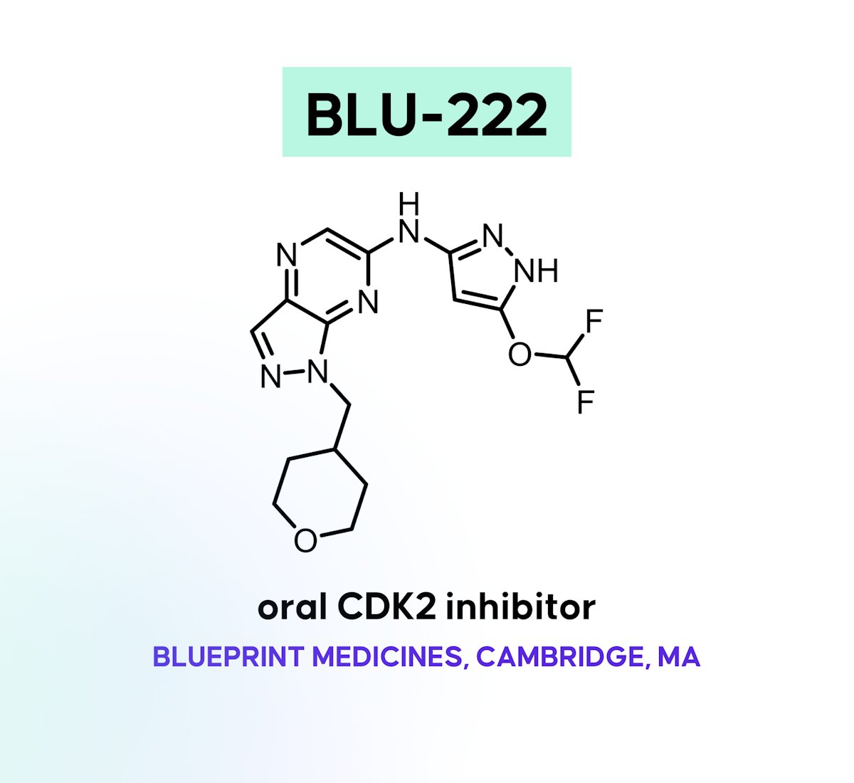 Blueprint’s Selective CDK2 Inhibitor

Learn about the discovery story, how exquisite kinome selectivity can be achieved, interim clinical data, and more in this full case study about BLU-222.

Article | drughunters.com/4dAgCs5
