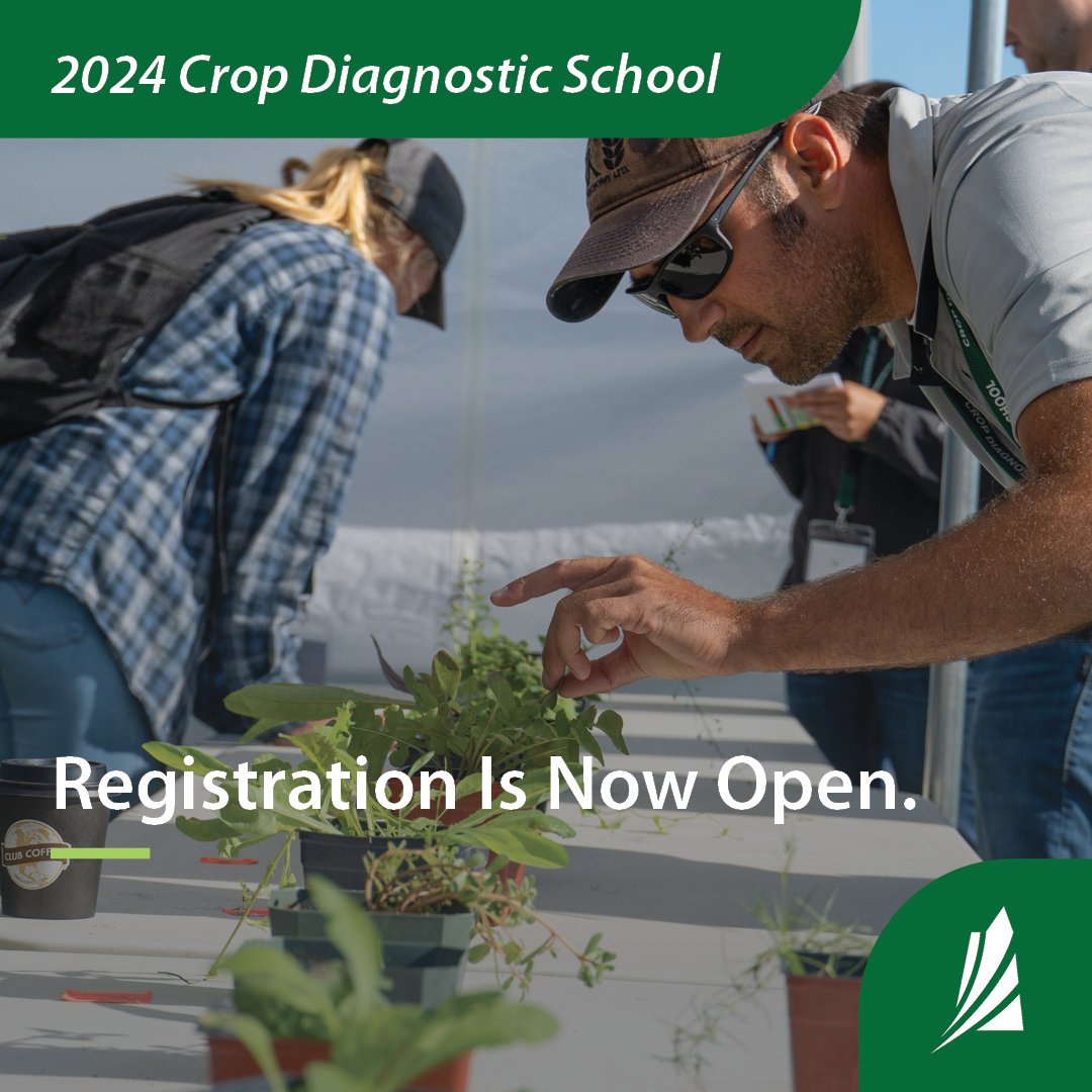 Thanks to @NARF_Melfort for hosting this year's Crop Diagnostic School. Register today to secure your spot for July 24 or 25: prairiecca.ca/events/ #CDS2024 #SaskAg