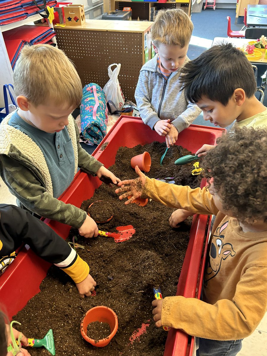 Lizzy Leblanc tweet media