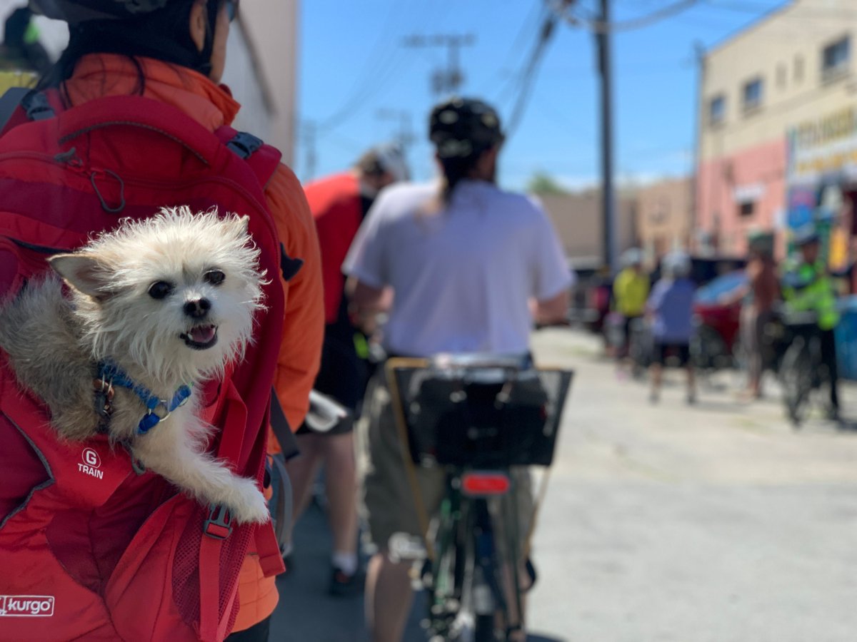 #BiketoWhereverDays is nearly here! 🚲 

Start your week off strong by pledging to ride and signing up for the #BayAreaBike Challenge. Secure your free tote bag and register now: buff.ly/3US0St6 

Thank you to our sponsors @gileadsciences for making #BikeToWhereverDays