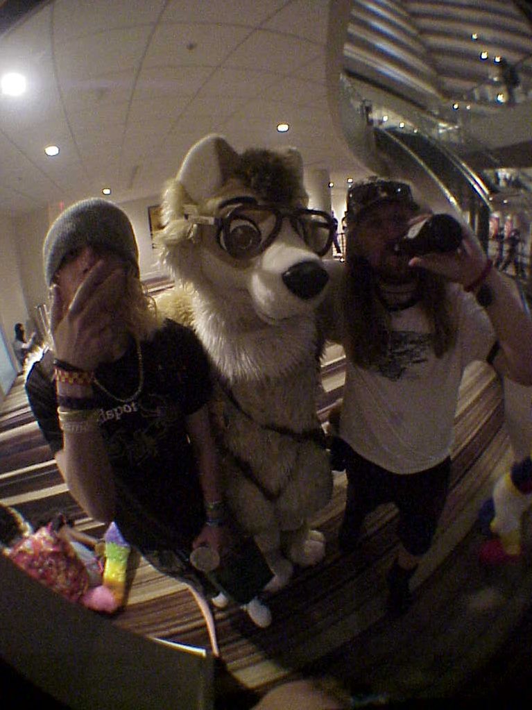 bossmove2012's tweet image. Best surveyor 👊 @Candle_Husky