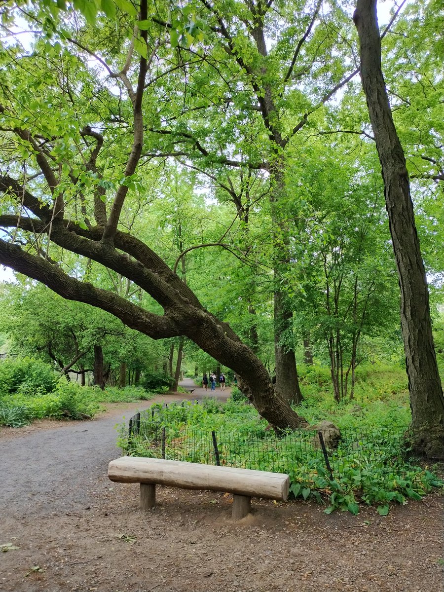 #lovelyday at Central Park #ilovenewyork #happymonday