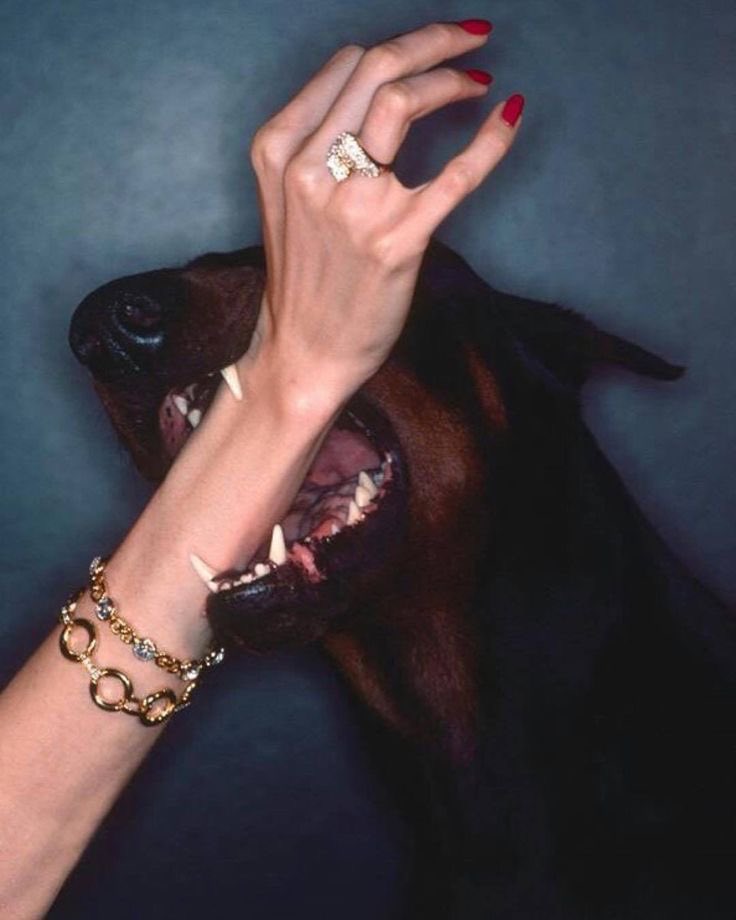 Lisa Taylor for Dior campaign 1976 (fetching is your dior) her jeweled hand clenched by the jaws of a Doberman!!!!!! photographed by Chris von Wangenheim