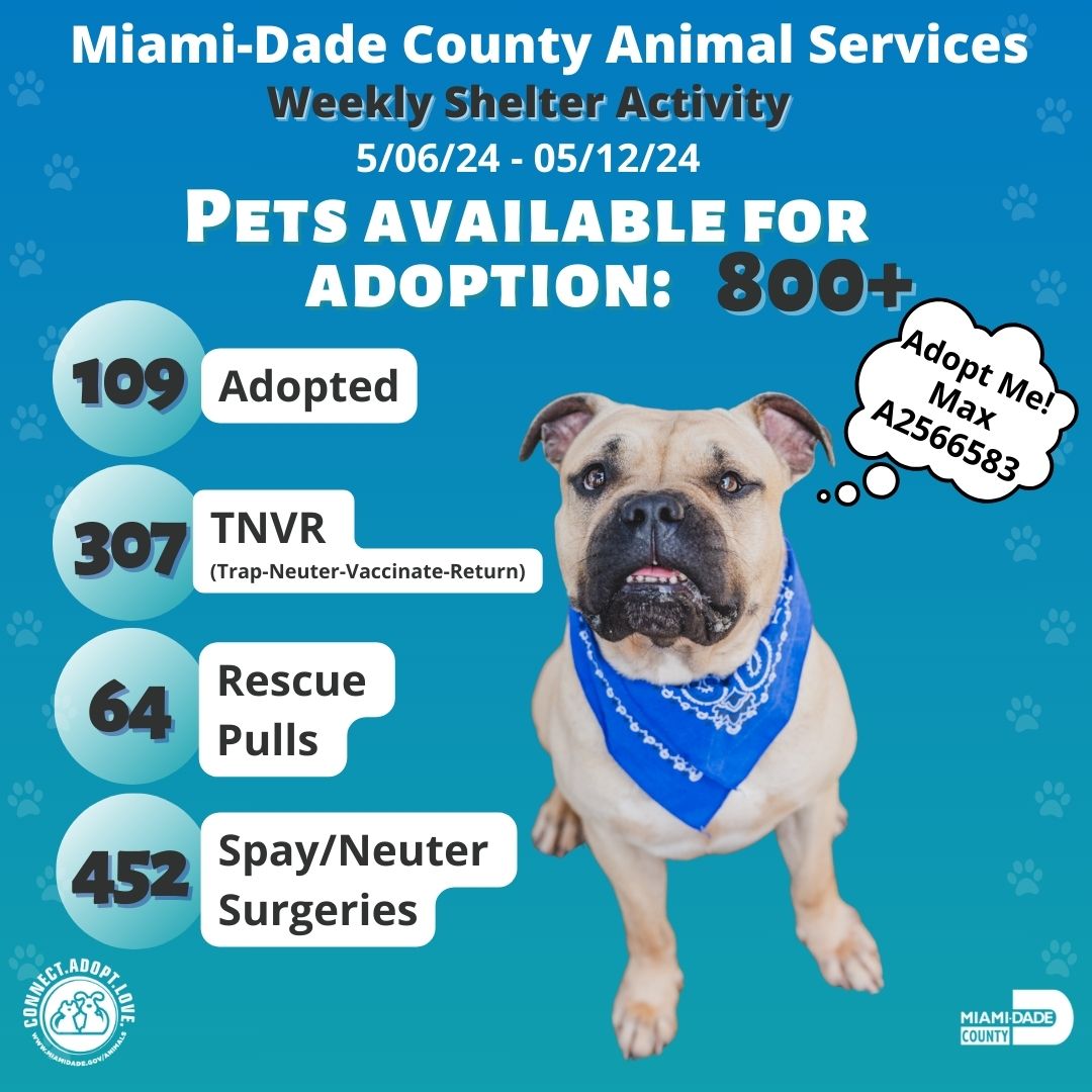🌈 Another week, another wave of triumphs! #MiamiDadeCounty Animal Services is on a mission to change lives through adoptions, TNVR programs, rescues, and spay/neuter efforts. 🐶💚 Let's continue spreading love and hope together! #SpreadKindness #BeTheChange