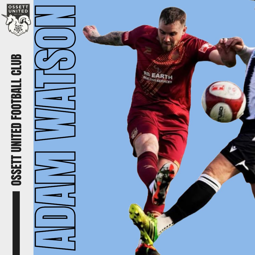 OssettUnited's tweet photo. WATSON READY FOR WILD RIDE

https://t.co/zFdDqRCliB https://t.co/tOfFERorCQ