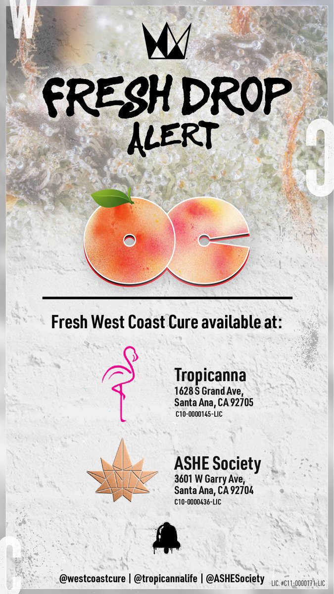 WestCoastCure's tweet image. #WCC #FreshDrop @tropicannalife and @ASHESociety

See what was dropped at
Tropicanna: hubs.li/Q02w_hmQ0

ASHE Society: hubs.li/Q02w_g3F0