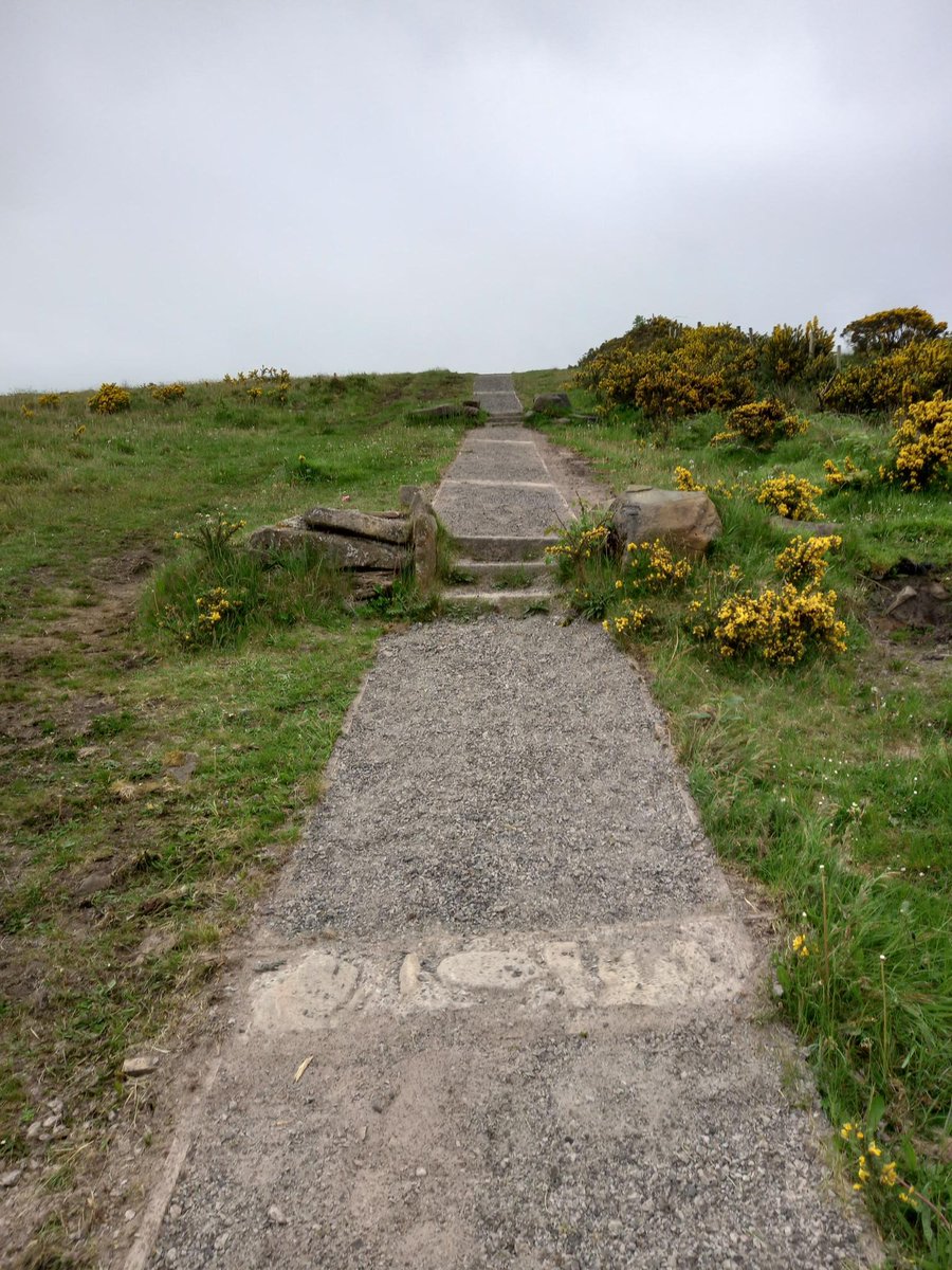 🌟Paths at Topped Mountain reopen

🌳We are pleased that the paths at Topped Mountain have been repaired and are reopen following flood damage.

#FODC #LeaveNoTrace