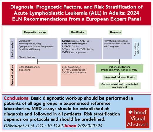 Diagnosis, prognostic factors, and assessment of ALL in adults: 2024 ELN recommendations from a European expert panel ow.ly/1ajH50RASCe #specialreport #lymphoidneoplasia