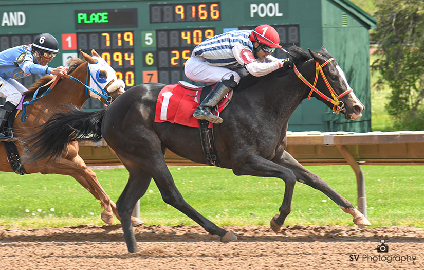 Is today going to be a day of upsets? Race three winner Impermanence is dismissed at odds of 19 to 1 and returns a healthy $41.80 to her backers. Anthony Rodriguez, in his first year riding at Finger Lakes, gets the win for trainer Debra Breed.