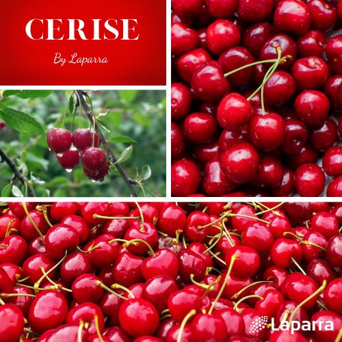 Tout comme le soleil la cerise fait son grand retour ☀️
Retrouver nos belles cerises sur le Marché ! 🍒

N’hésitez pas à nous contacter pour plus de renseignements ! 😉

#Cerise#Laparra#minderungis