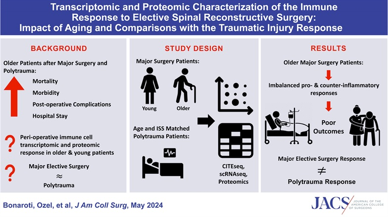 In order to improve outcomes in elderly patients, surgeons should consider altered immune response at the molecular level. journals.lww.com/journalacs/ful…