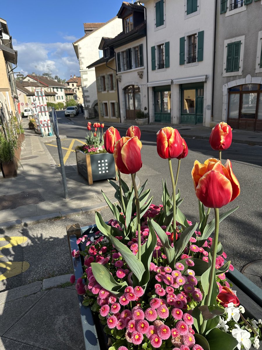 Alves Elisabete (@eaxpereira) on Twitter photo 