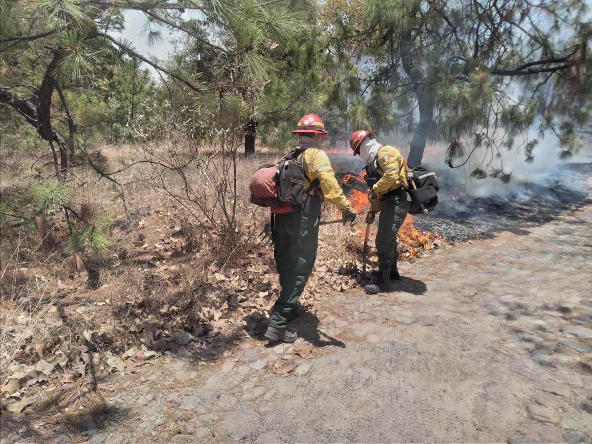 ReporteForestal's tweet photo. #AlMomento

Se atiende #IncendioForestal en el paraje Las Tinajas, #Zapopan, en el #ANP Bosque La Primavera.

A las 12:40 horas entran en combate 69 bomberas y bomberos forestales de @SemadetJal, @CONAFOR, 
@UMPCyBZ,
@BosquePrimavera y @CFEmx, con apoyo de helicóptero #Witari. https://t.co/i8U2sHbbFC