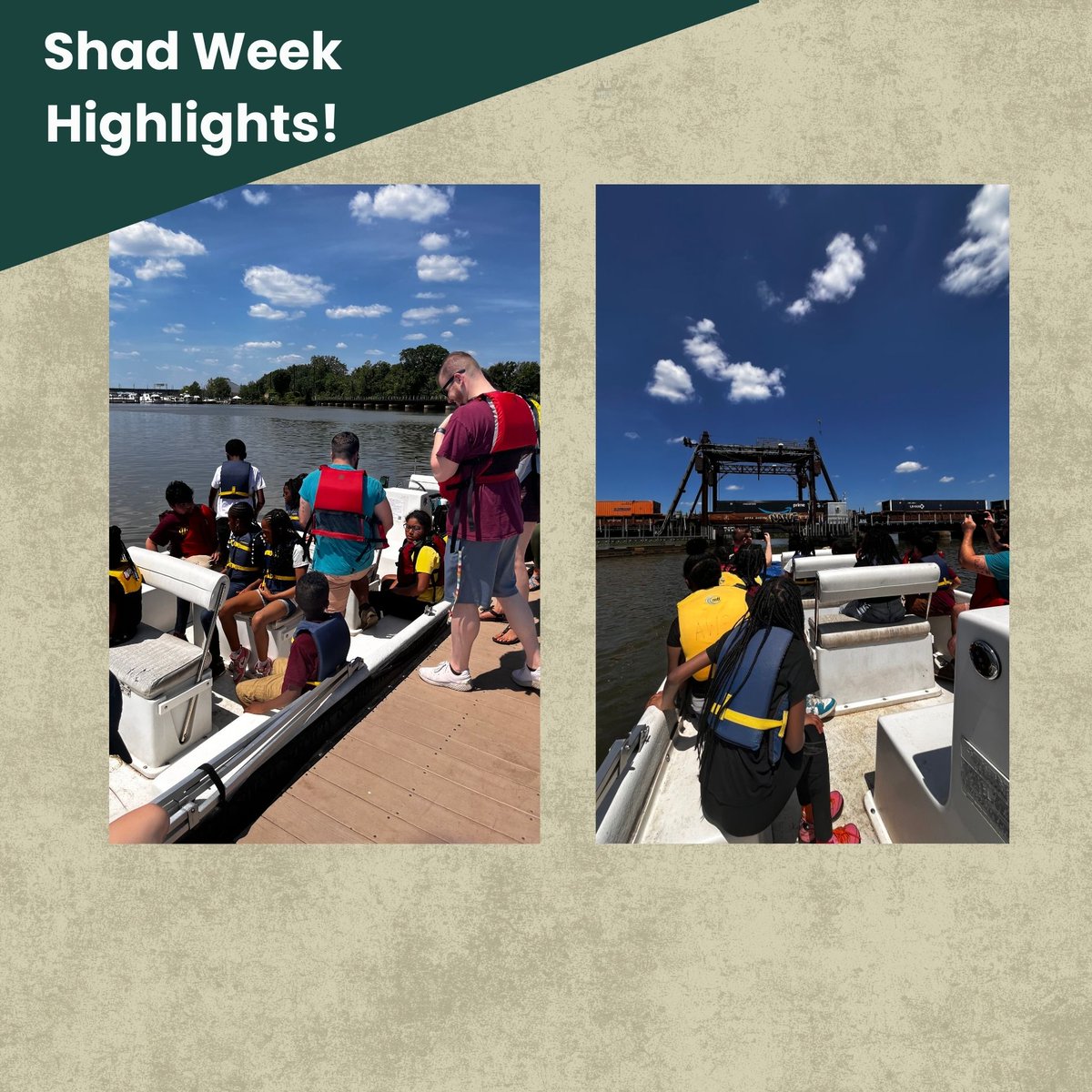 anacostiaws's tweet photo. The students of Whittier Elementary became conservation warriors as they released shad fry into the Anacostia River! Through our Shad program, students from across the District engage in meaningful environmental education opportunities
#restoration #americanshad #anacostiariver https://t.co/NEwziHlQQn