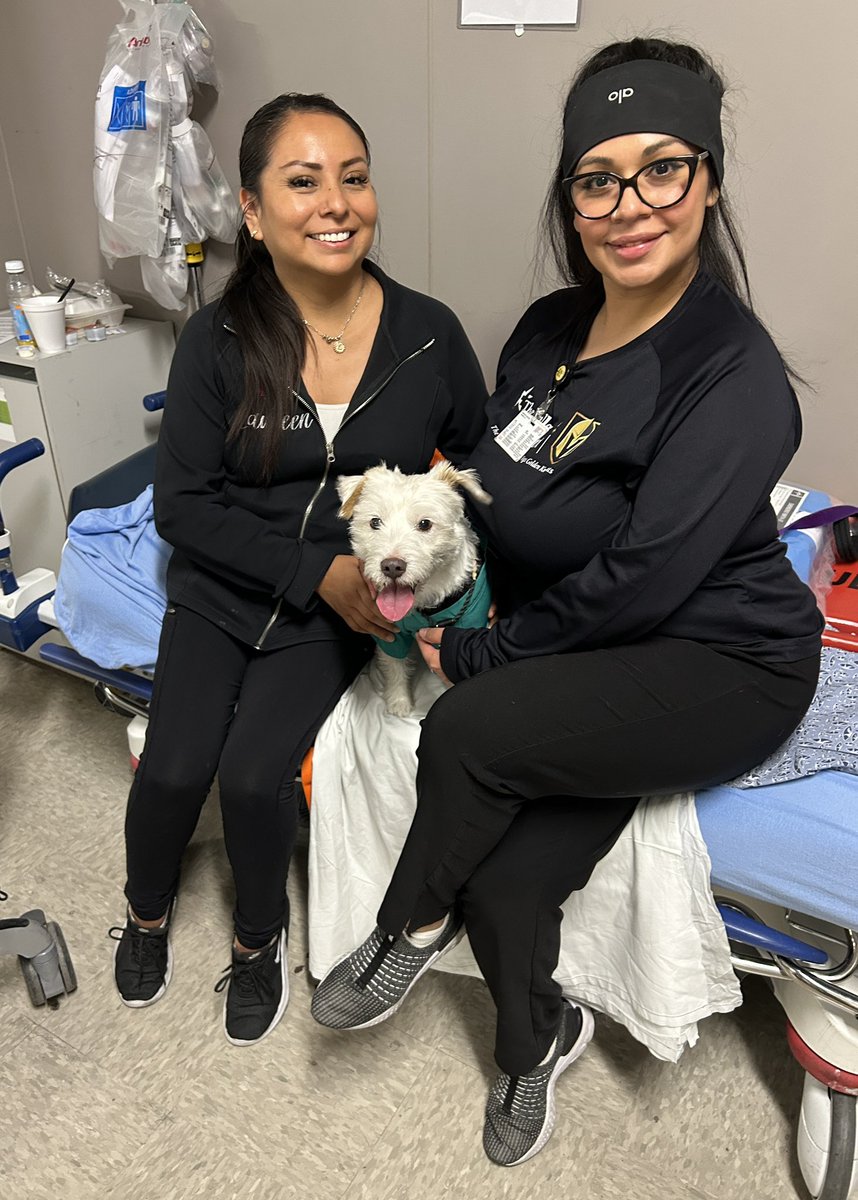 Today on my rounds at Summerlin Hospital I saw my friend Hayden (he’s ringing the bell today!), gifted a can of“FLARP” to my new friend, and visited with my colleagues in the Pediatric ER! Have a GREAT week everyone! ~ Deke🐾 #TherapyDog #IAmATherapyDog #PawYouNeedIsLove