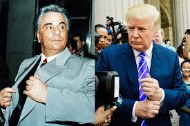 🤔 When your political party nominates a rapist, business fraud, Cancer charity cheat, wife cheating insurrectionist. . . You don't have a political party you have an Anti-American mob syndicate. John Gotti, and Trump.