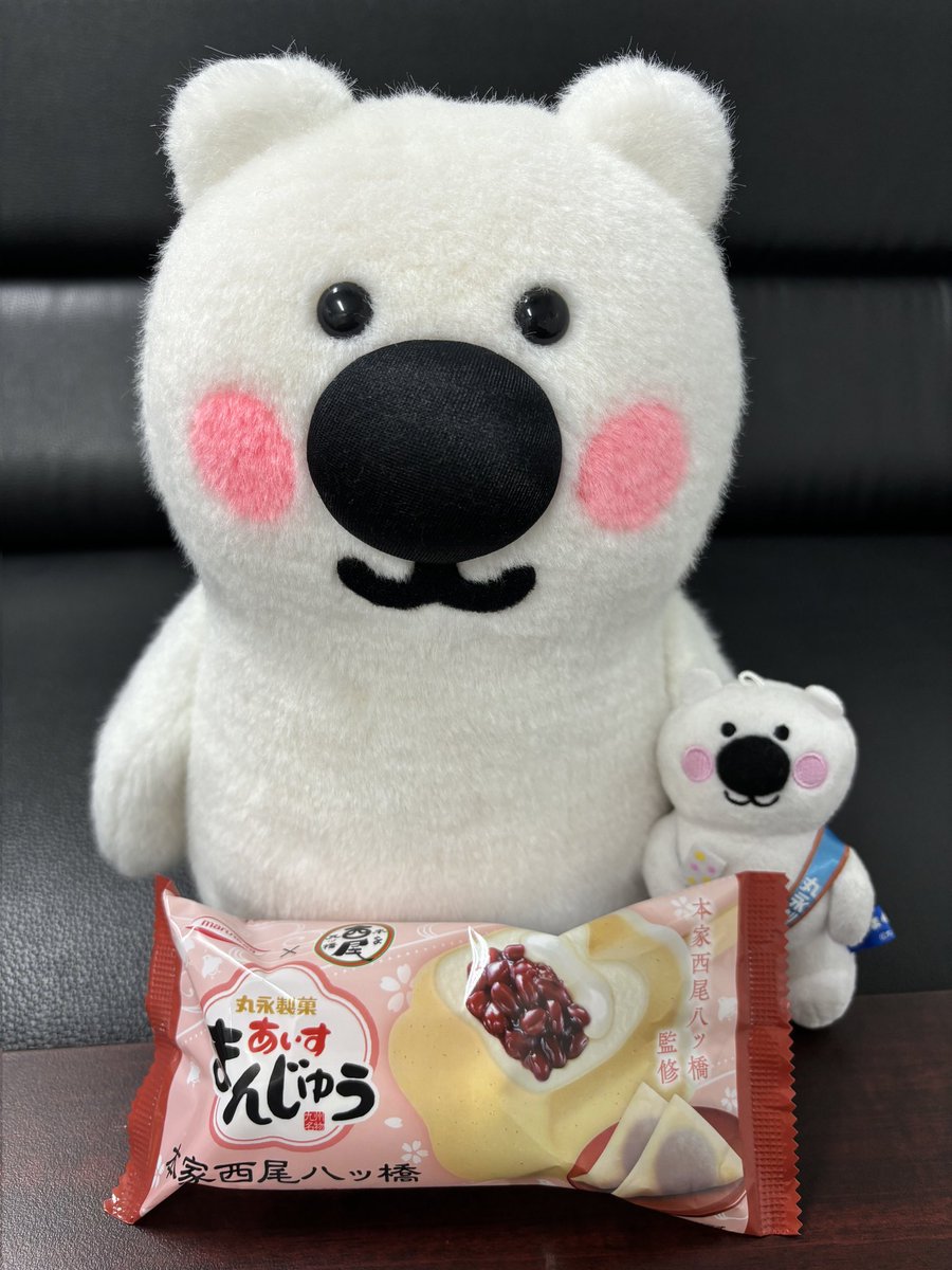 おはよ〜ございます。 くま吉＆ちびくま吉です🐻‍❄️ 好評発売中のあいすまんじゅう本家西尾八ッ橋🍨は5/20(月)より一般発売となり、全国のスーパーでもお買い求めいただけるようになります✨ 見かけたらぜひお試しください〜😊 #一部の店舗を除く全国のセブンイレブンにて先行発売