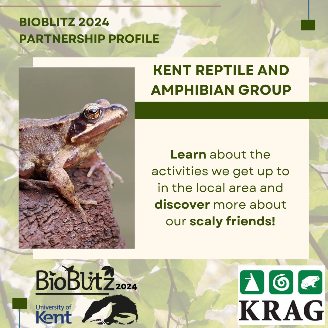 Introducing the stalls at #UoKBioBlitz2024 (1/3). Register using the link in the bio! @KentWildlife @Natures_Voice @RSPBEngland @mothsinkent @savebutterflies @ARGroupsUK