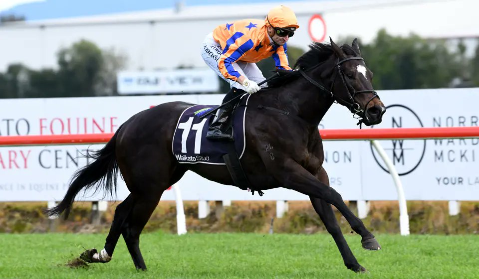 IMPERATRIZ: Win#9 of 19 as we reflect of this star mare's stellar career ... Berri began her 4YO season going back to back as she claimed the time-honoured Grp 2 @WaikatoStud Foxbridge Plate @TeRapaRacing on 22 August '22 - on a Heavy10 track from barrier 10 @opie_bosson settled…