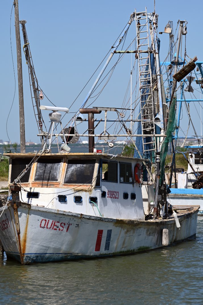 Oyster fishing boats. Gulf of Mexico