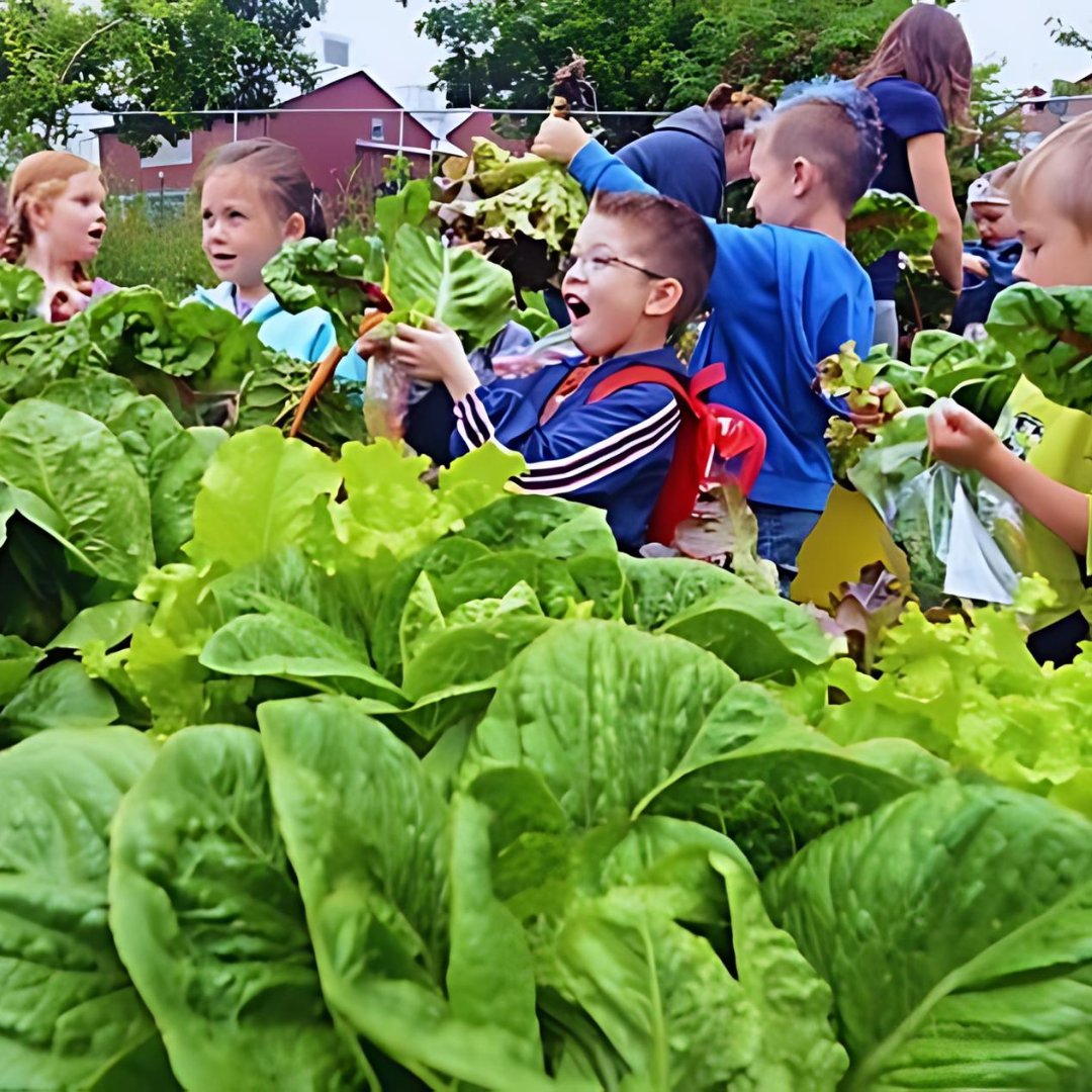 🌱Get ready to grow, explore, & have a blast this summer with @BCAITC!🌞From #funactivities to #handsonlearning, we're gearing up for an unforgettable experience at our #SummerCamp. #Staytuned for all the details, you won't want to miss out on the greenest #adventureoftheseason!