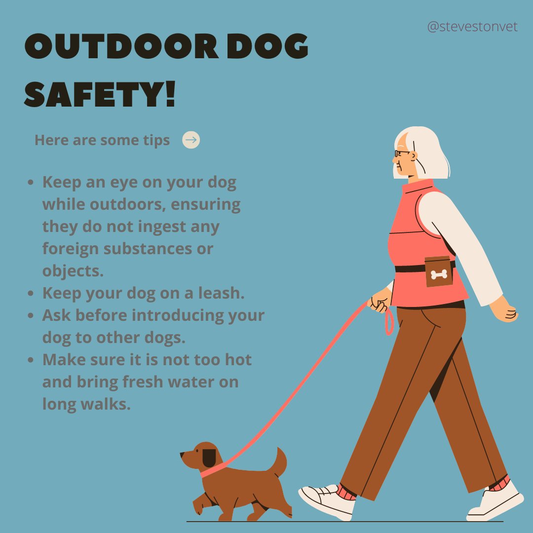 As the warm weather approaches, here are some outdoor safety tips to help you, and your pooch enjoy the nice weather 🌻🌷. #outdoorpetsafety #petsafe #dogsafety #veteriarytips #stevestonvet #vethospitalrichmond