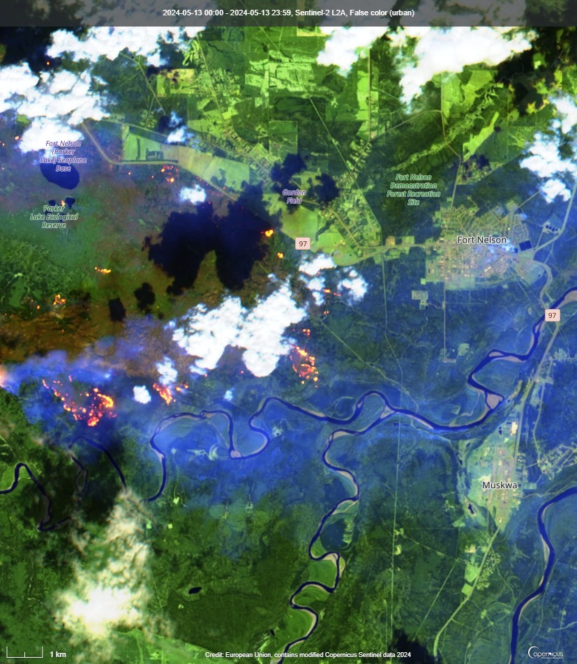 Daniel Gray 🇨🇦 tweet media