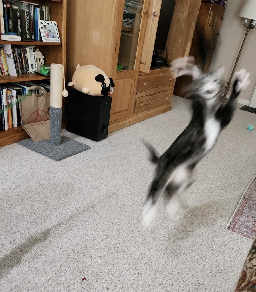 Nice to live with a flying goblin.