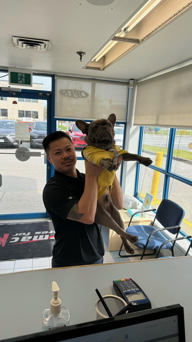 KirmacCollision's tweet photo. Kirmac Critters: Check out this photo of Colin from our Richmond location proudly showing off his pup. Who knew a dog could give such strong Simba energy🐾
.
.
.
.
#kirmaccritters #kirmaccommunity #doglovers #frenchie #frenchbulldog #loveyourjob https://t.co/CxrDR4c6wB