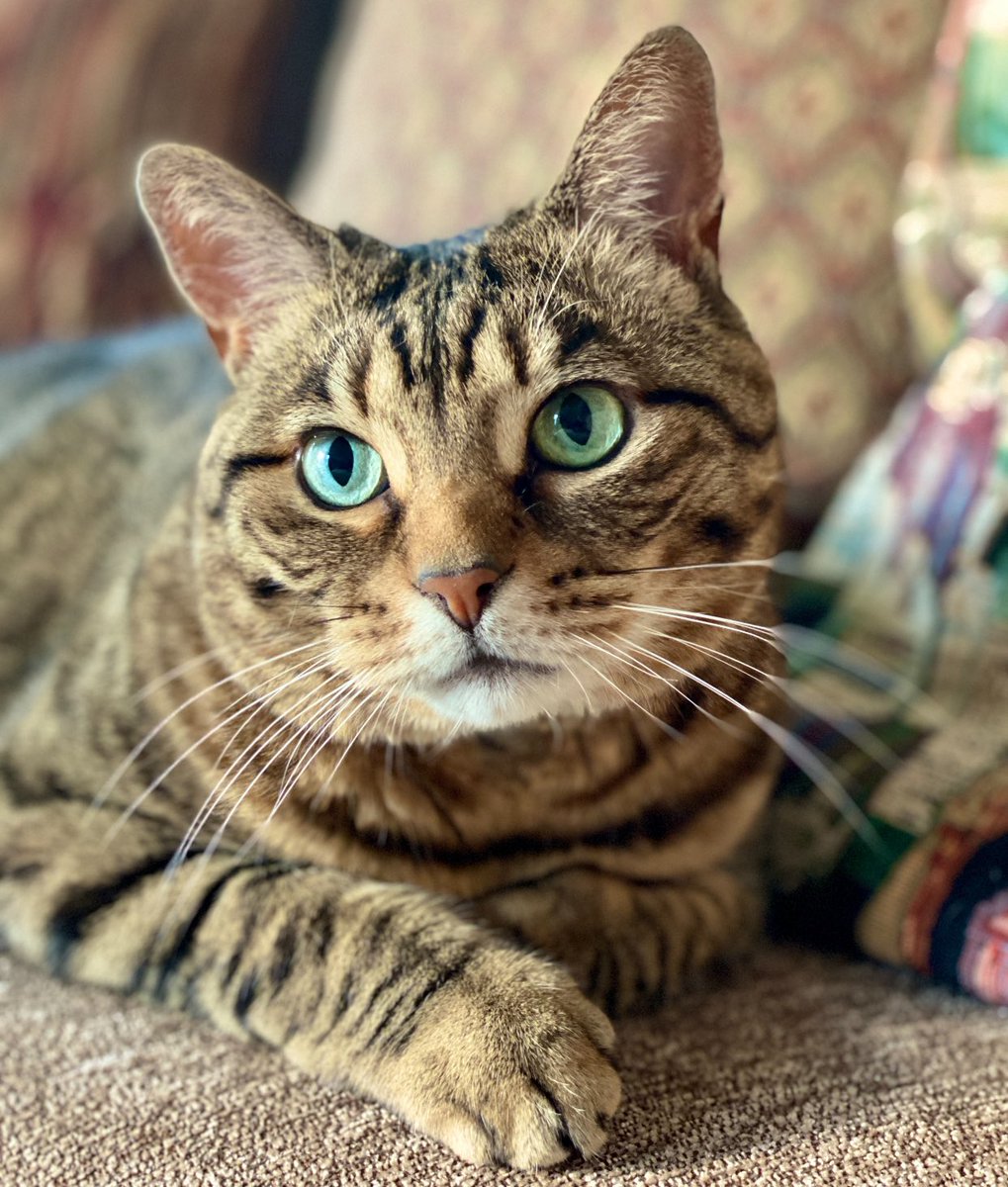 they abandoned you and I collected you like a treasure