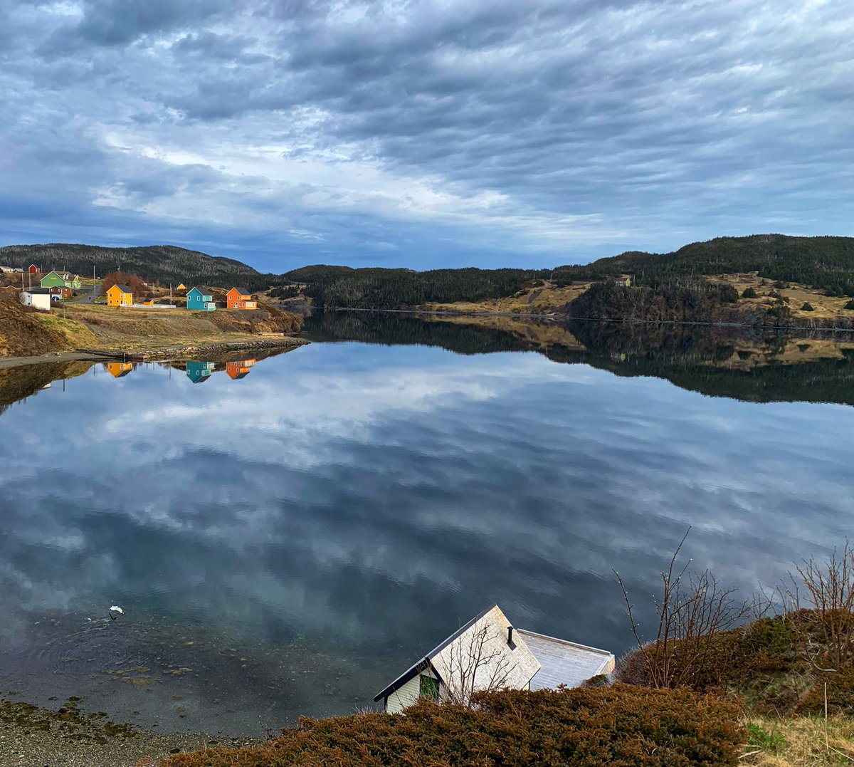 Monday Reflections. Trinity, NL.