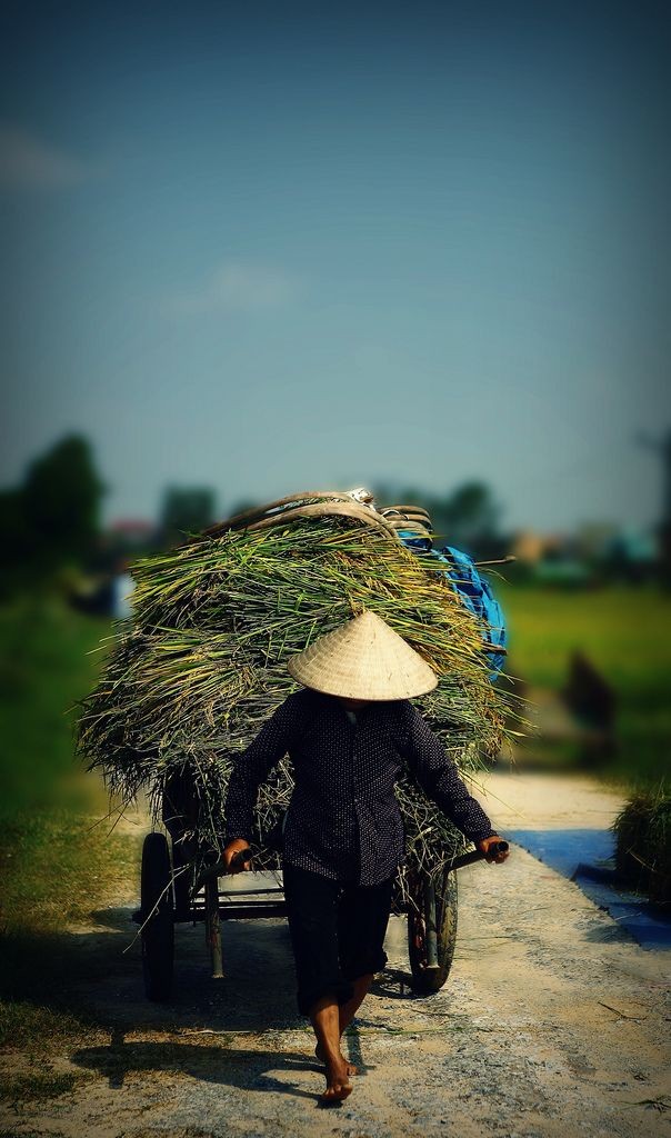 #countryfile #NatureBeauty #vietnam