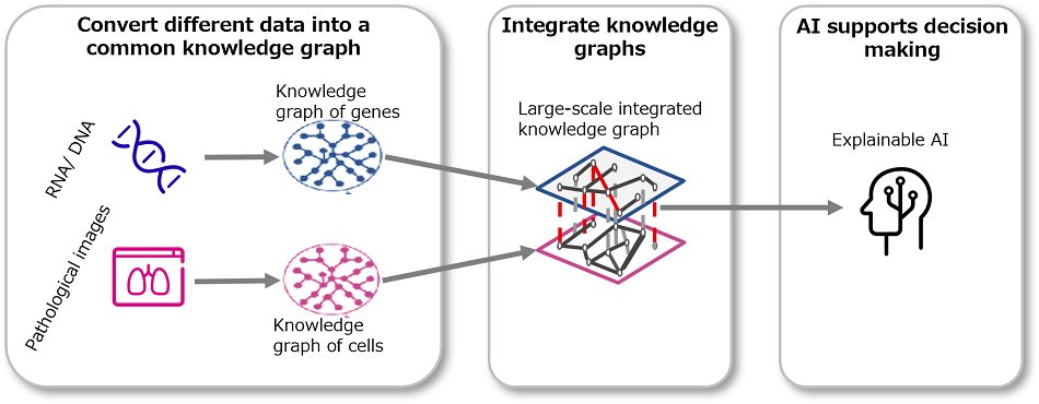 Fujitsu has developed explainable AI technology that automatically draws on data in multiple formats, including text, images, and numerical data, to create knowledge graphs that will help users to more easily draw meaning from large-scale data sets with high accuracy for areas