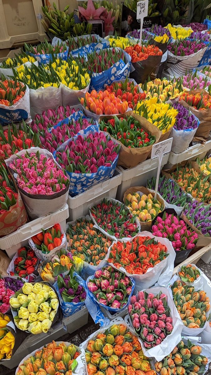 just Flowers (@just_flowers_11) on Twitter photo 