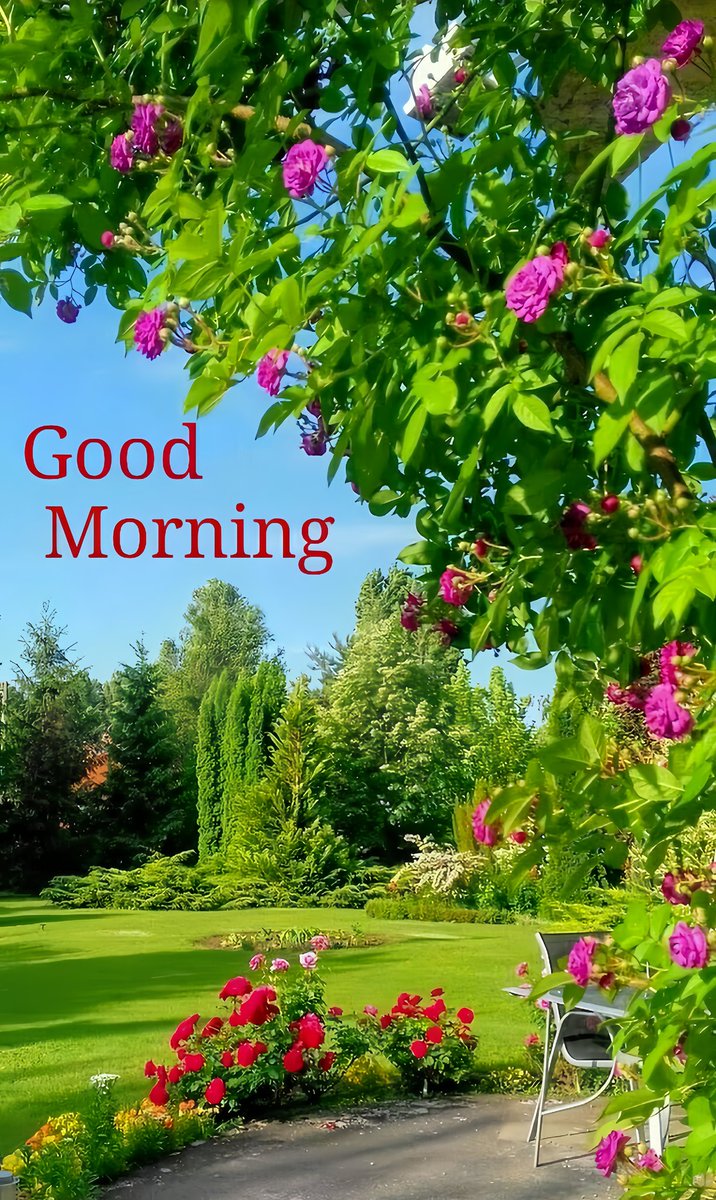 Nationalarmy102 tweet picture