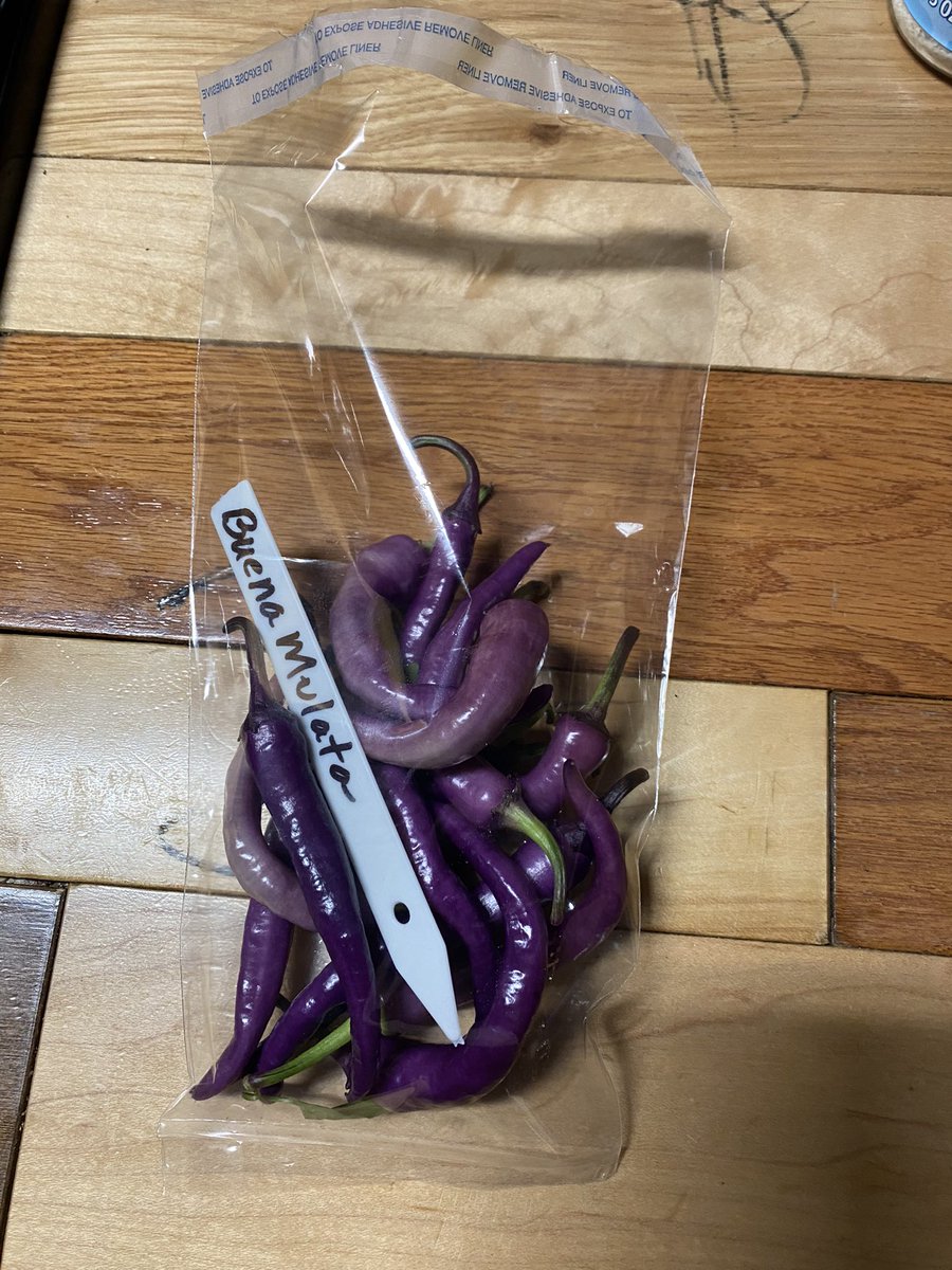 littlemanjerky tweet media