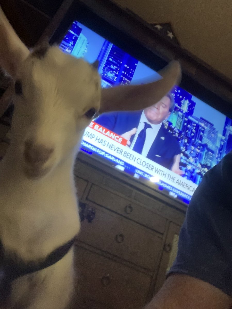 jrfarmsga's tweet photo. @ericbolling 
One of your best fans 🤠 https://t.co/yj6xKbtaKn