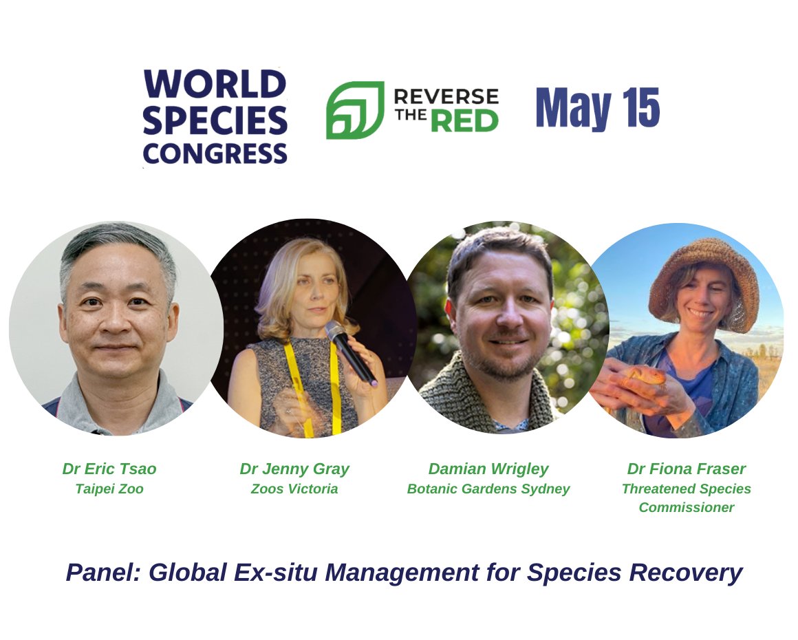 Zoos Victoria (@zoosvictoria) on Twitter photo Last chance to register for tomorrow's <a href="/ReversetheRed1/">Reverse the Red</a> World Species Congress! ZV CEO Dr Jenny Gray will be joining an action panel to discuss Ex-situ Management for Species Recovery, kicking off at 11.34am AEST.
Register now to access the full agenda: e2kevents.swoogo.com/worldspeciesco…. Last chance to register for tomorrow's <a href="/ReversetheRed1/">Reverse the Red</a> World Species Congress! ZV CEO Dr Jenny Gray will be joining an action panel to discuss Ex-situ Management for Species Recovery, kicking off at 11.34am AEST.
Register now to access the full agenda: e2kevents.swoogo.com/worldspeciesco….
